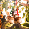 Acorn Seal (Content Customization | Cute Decoration)