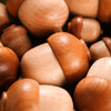 Acorn Seal (Content Customization | Cute Decoration)
